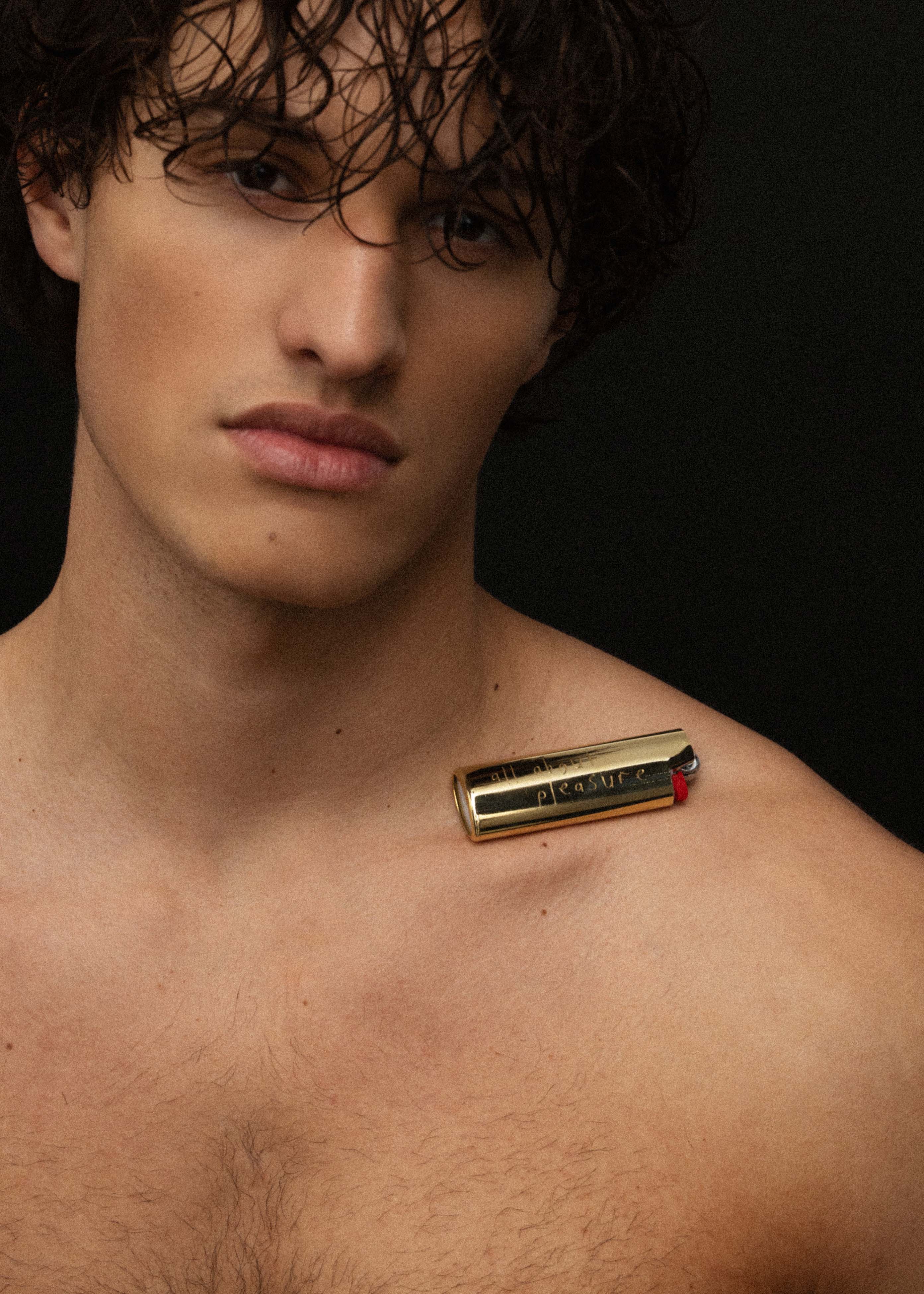 PLEASURE LIGHTER CASE